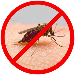 email landing page 2.png