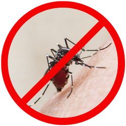 email landing page 4.png