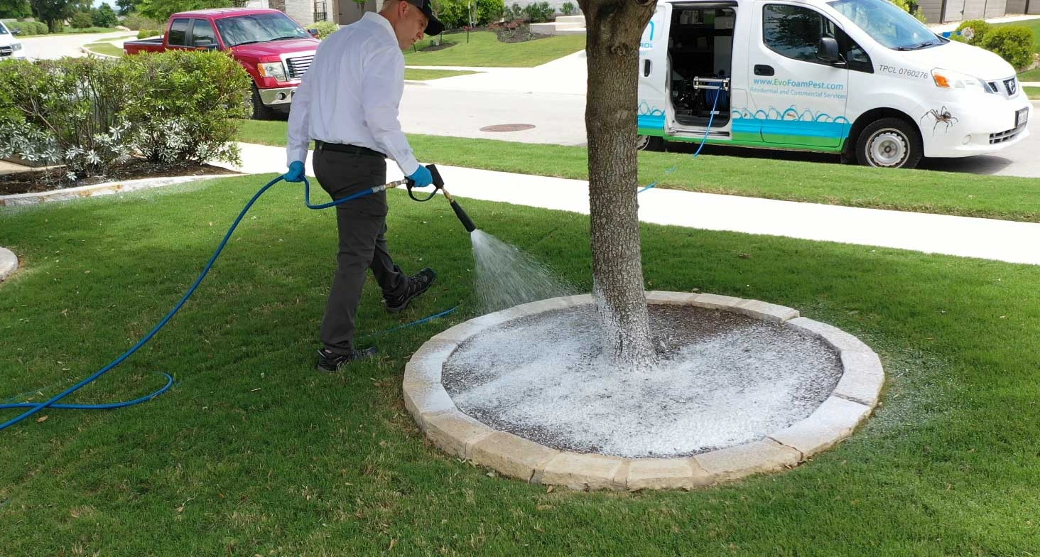 Georgetown Texas Pest Control