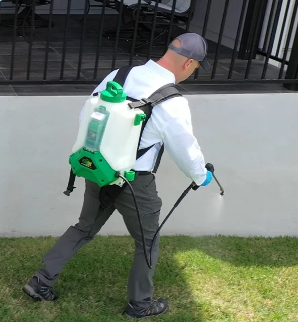 Pest Control in Cedar Park