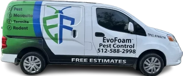 pest control austin tx