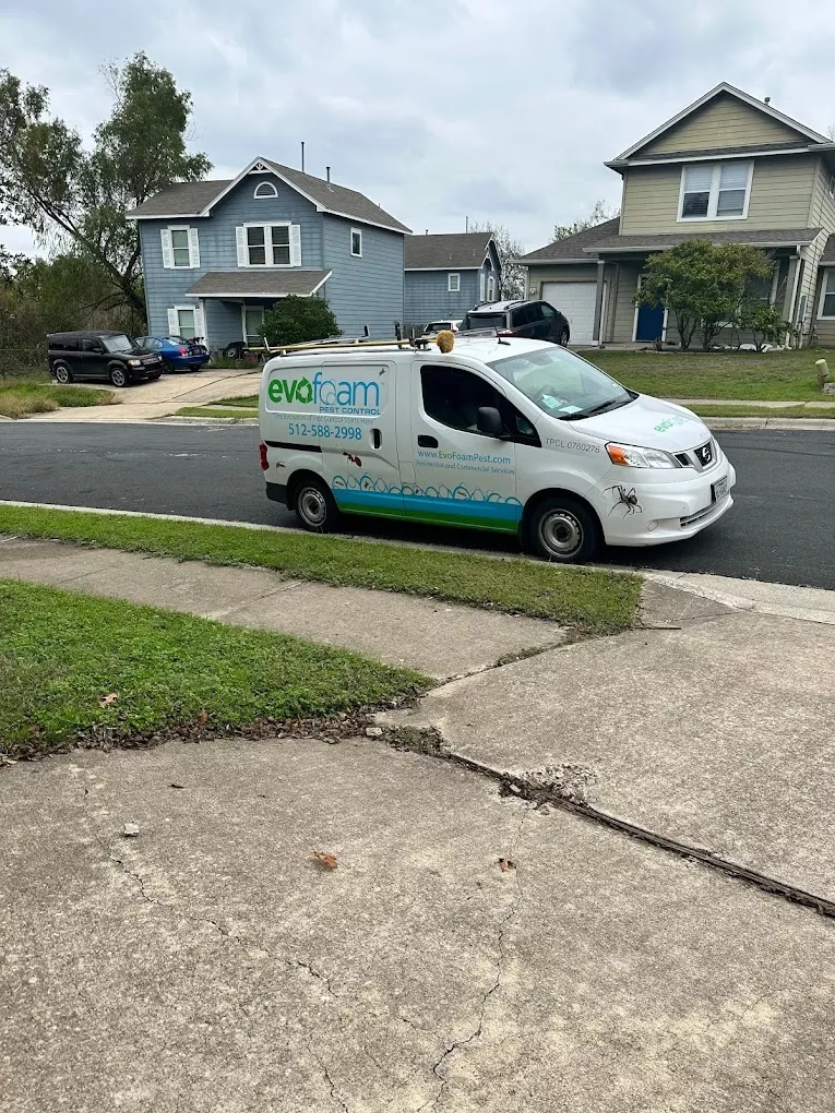 west lake hills pest control