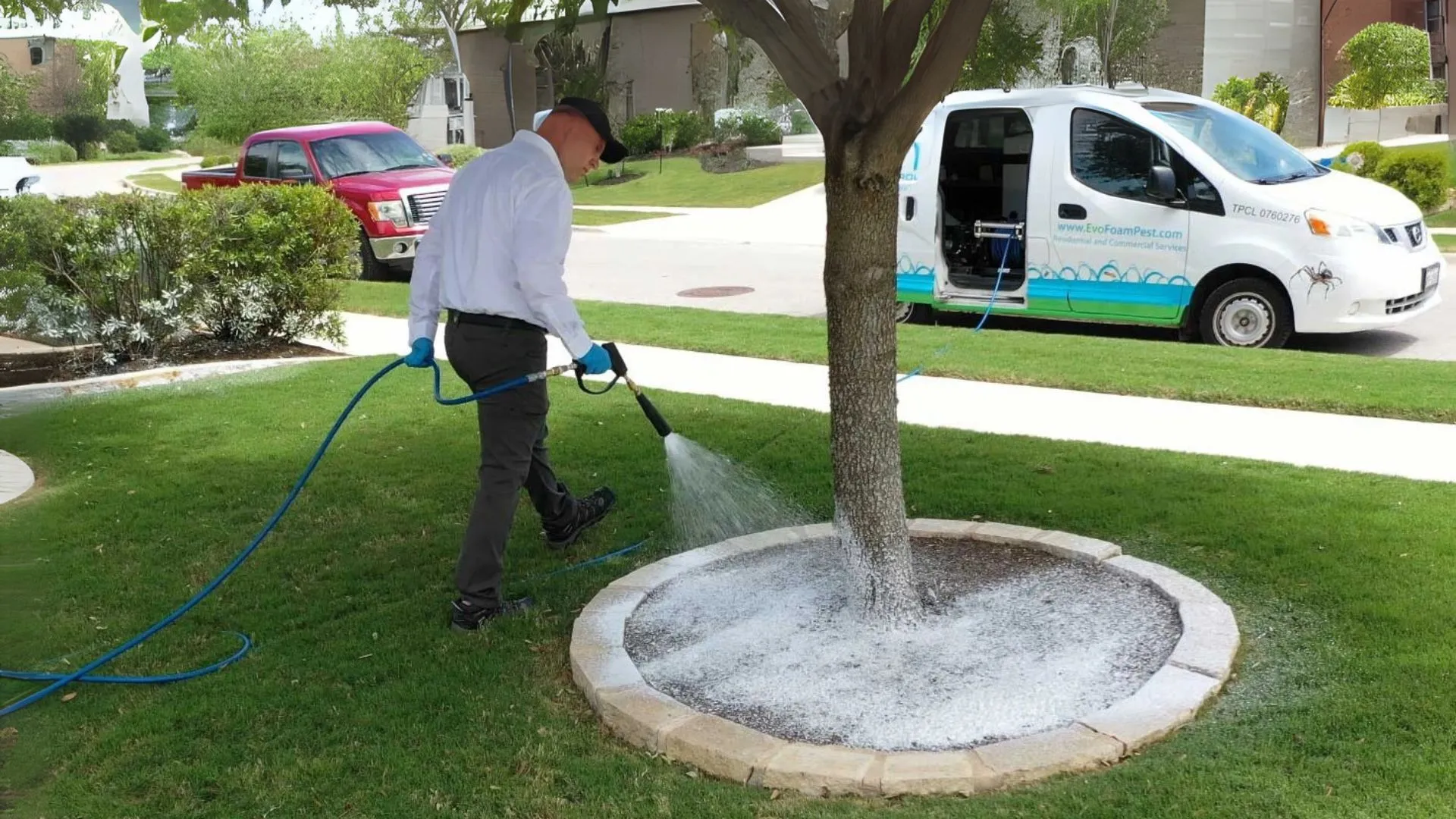 salado pest control