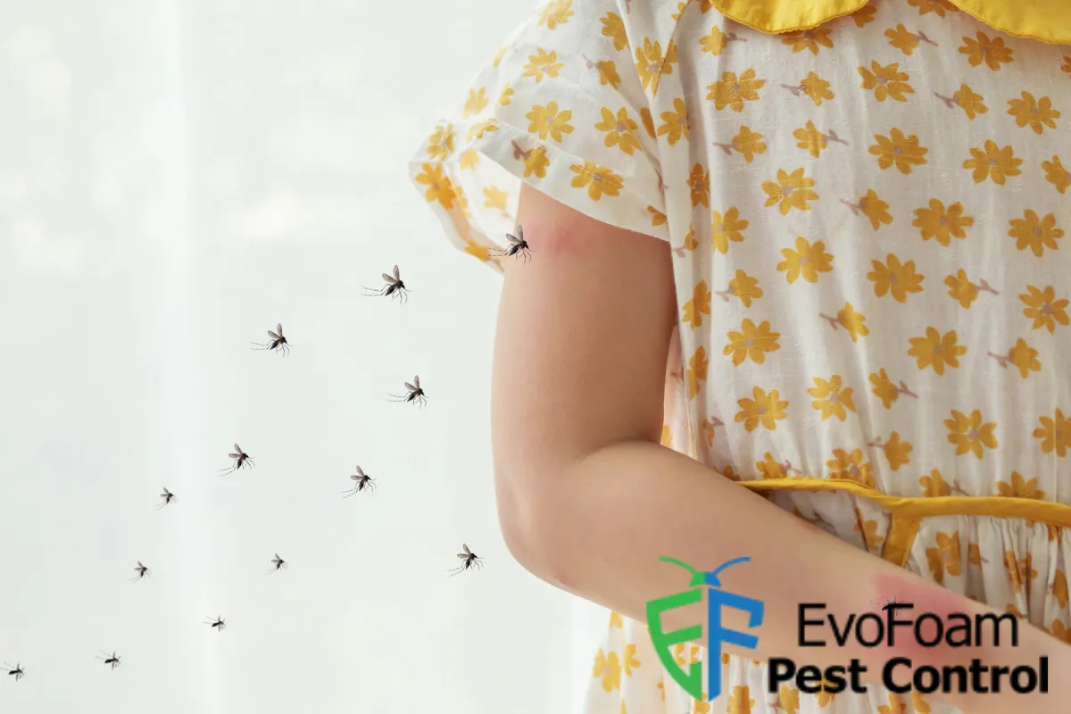 mosquito bites