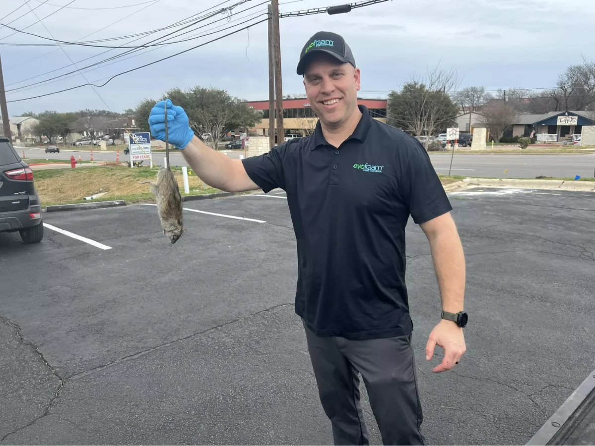 Rodent Control & Exclusion